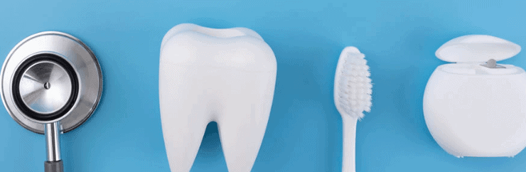 치아교정 기간